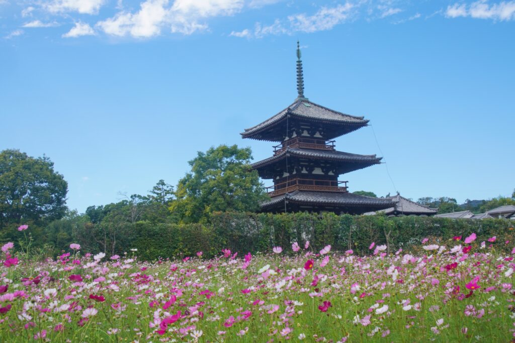 木造建築と林業