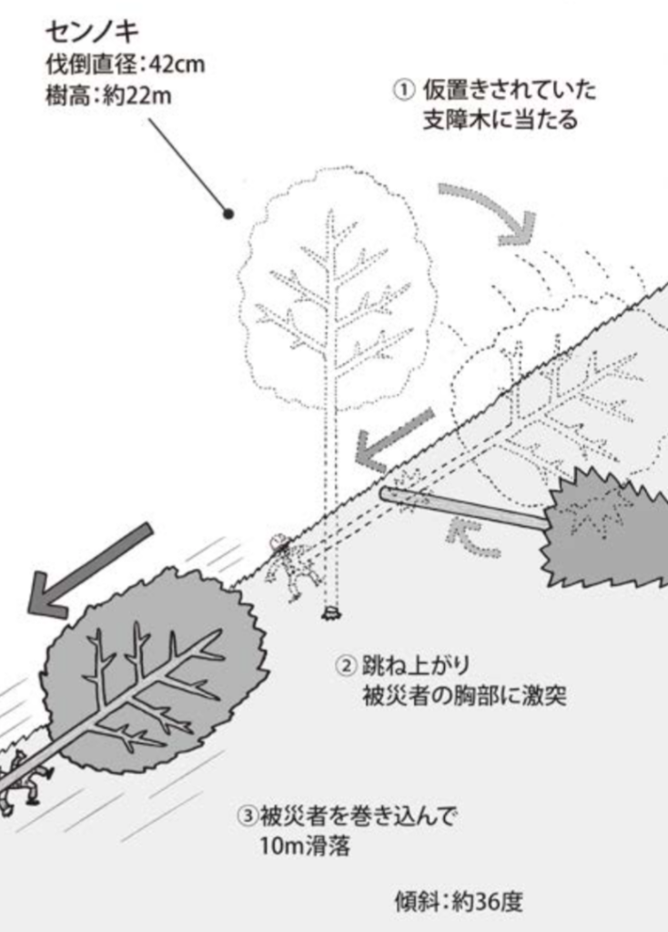 林業の労災事例