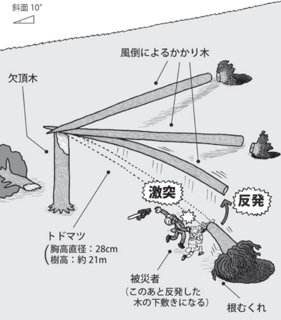 林業　労災　事例