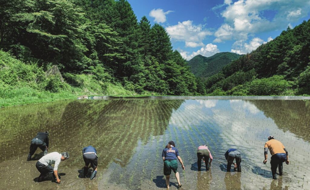 柳沢林業