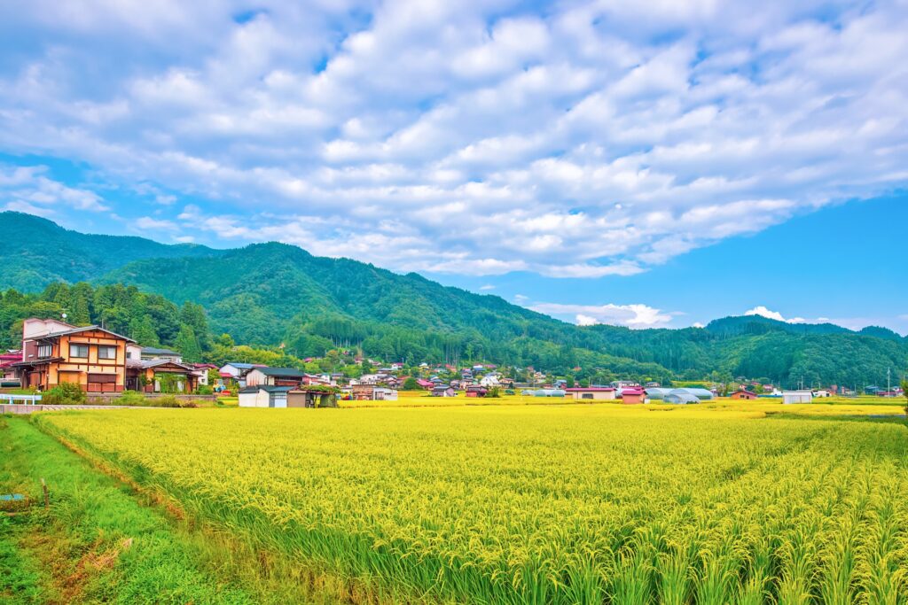 田舎の風景