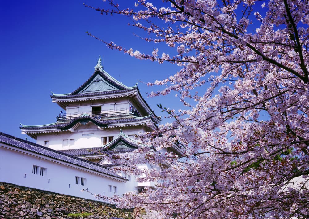 和歌山市
