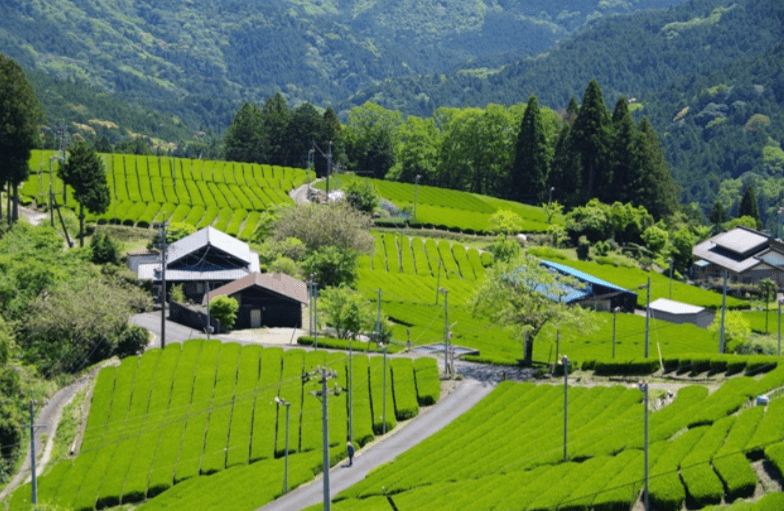 森町