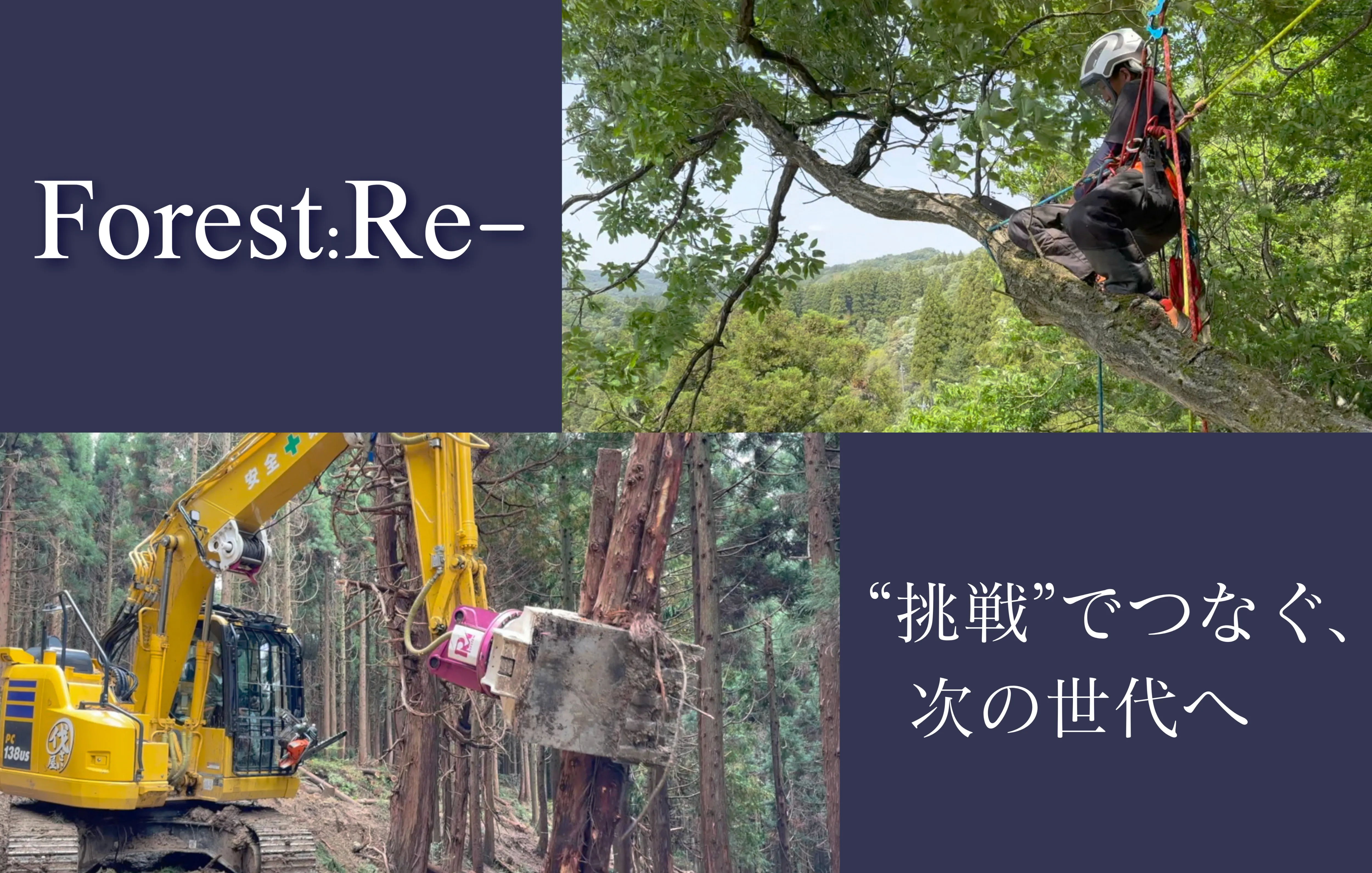 林業　求人