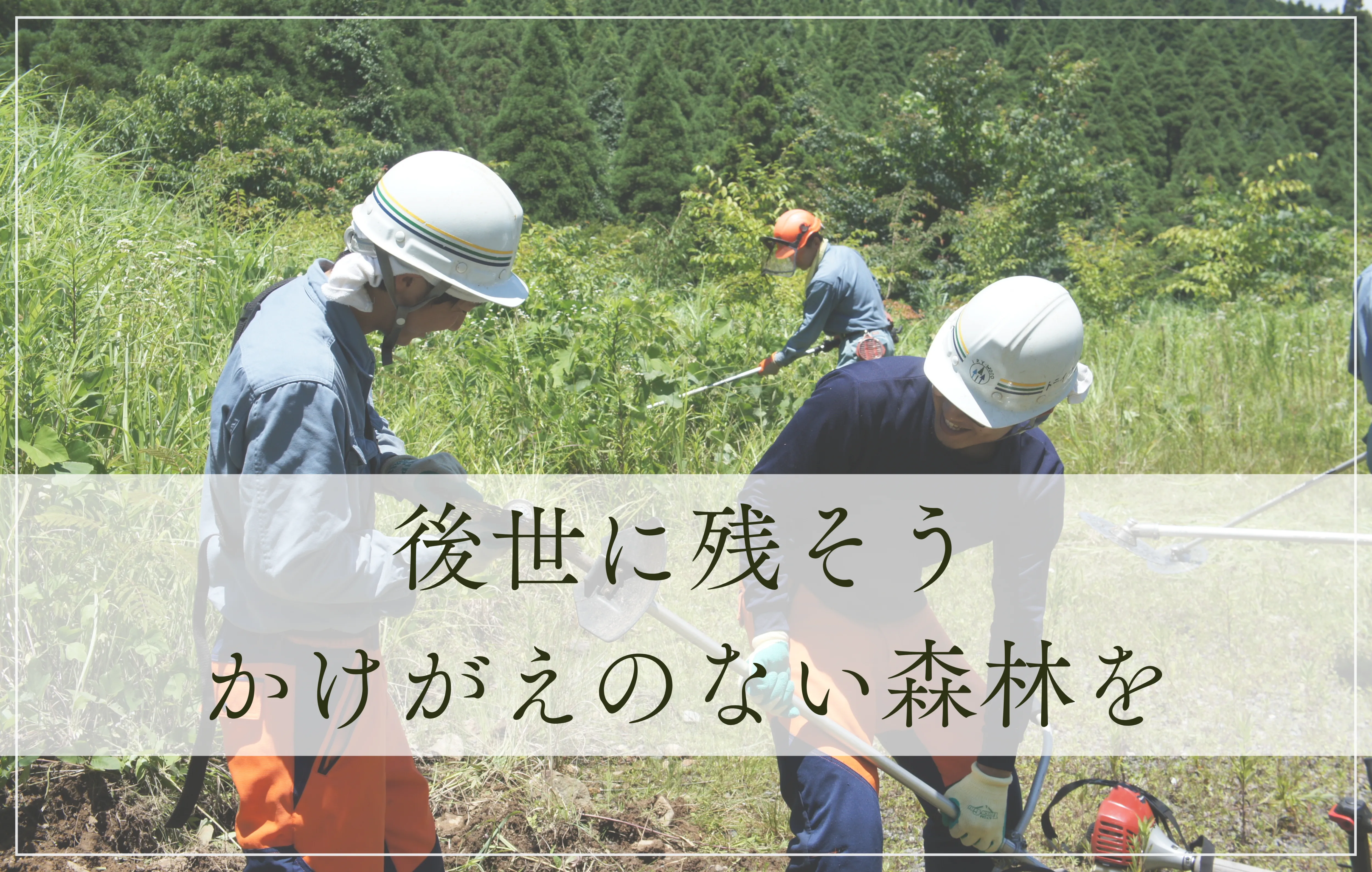 林業　求人