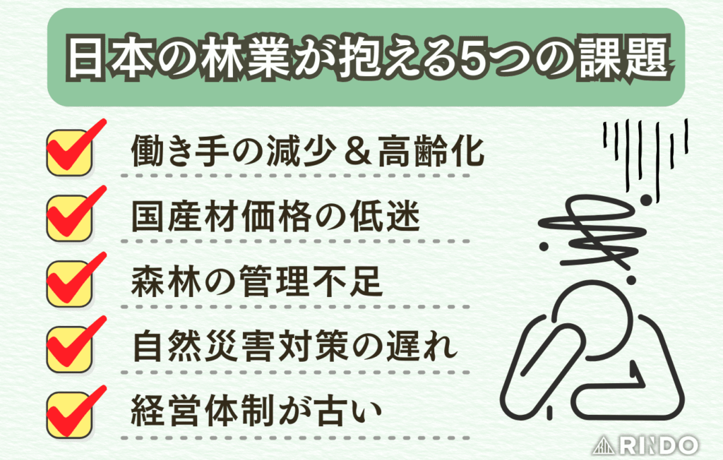 日本の林業が抱える問題