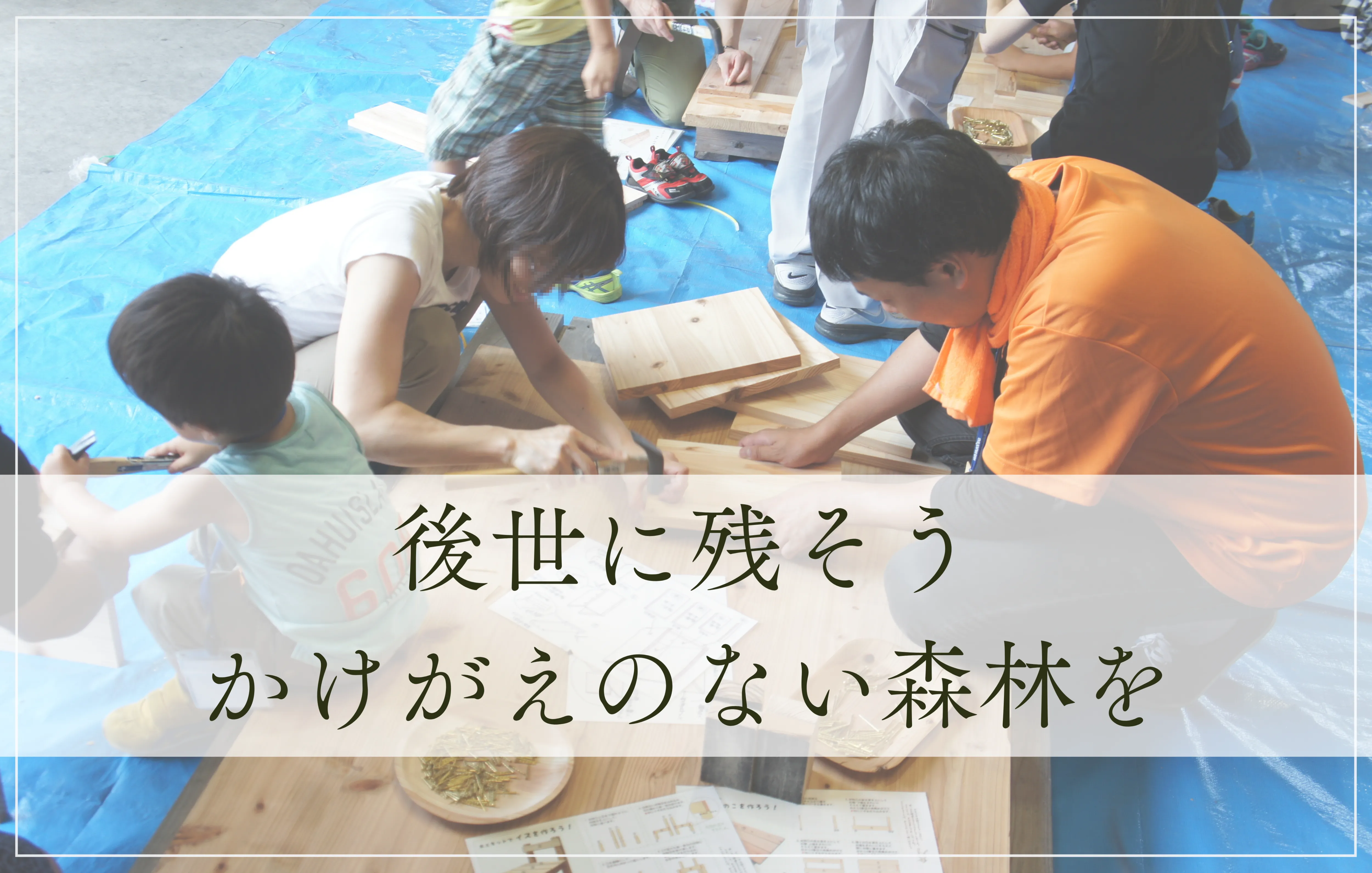 トライウッド