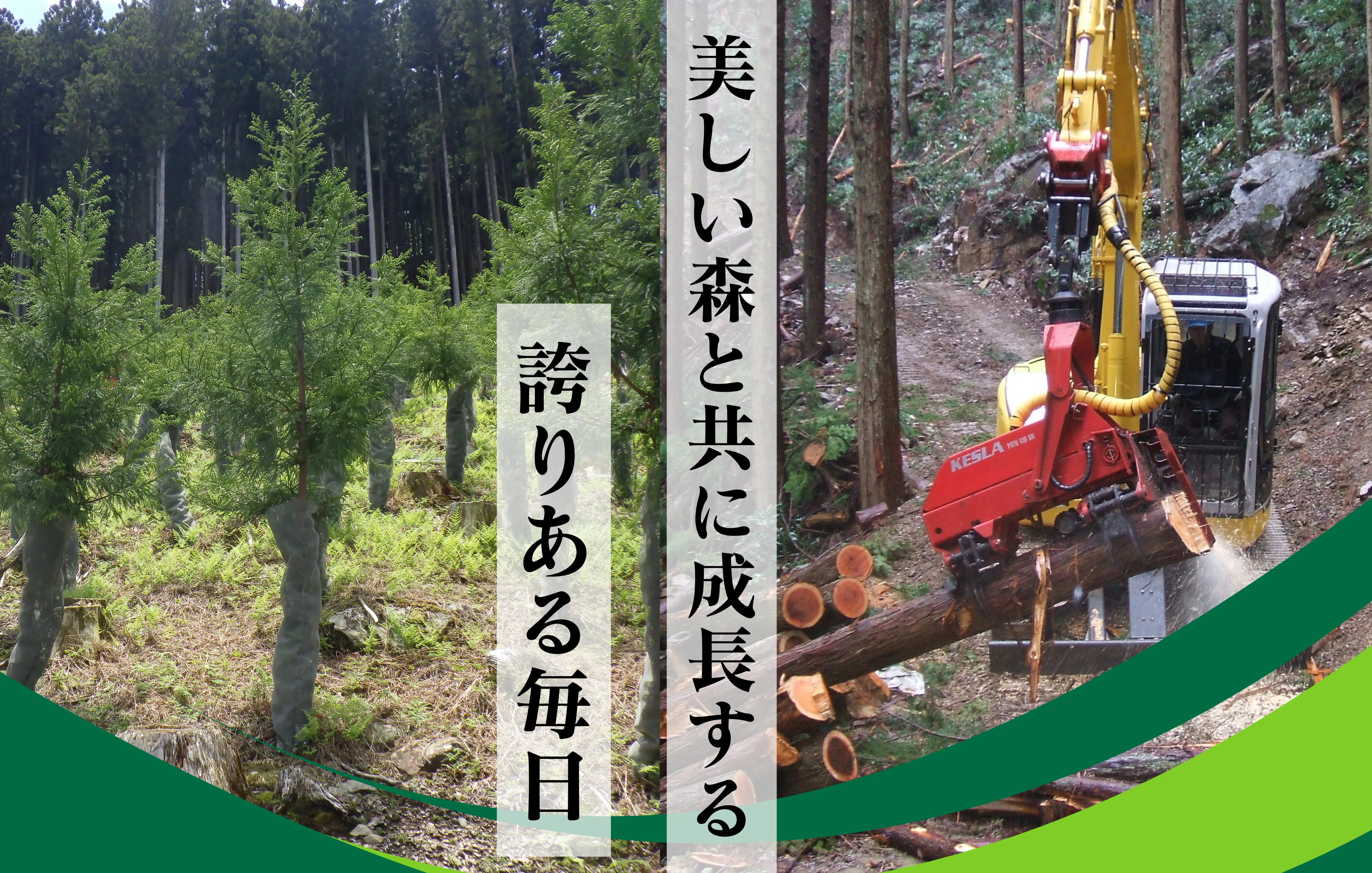 林業　求人