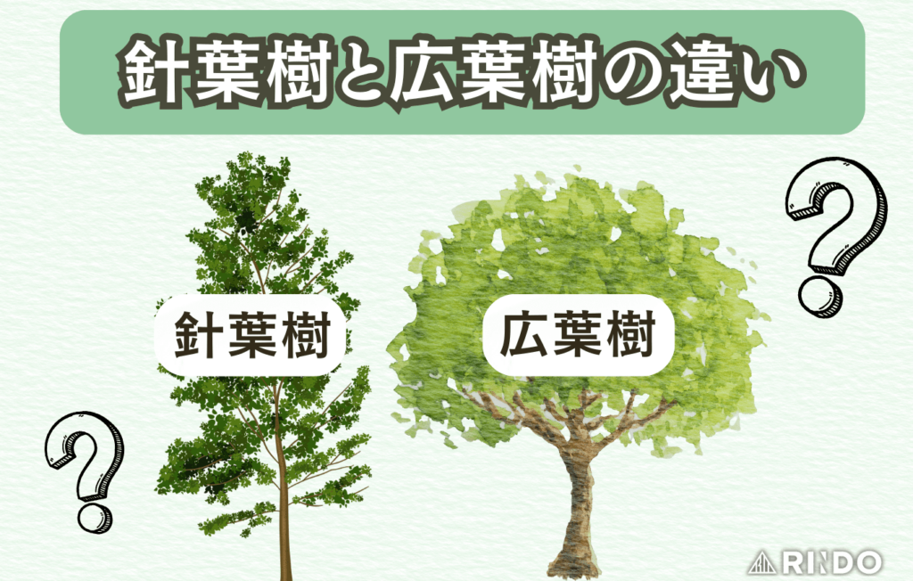 針葉樹　広葉樹　違い