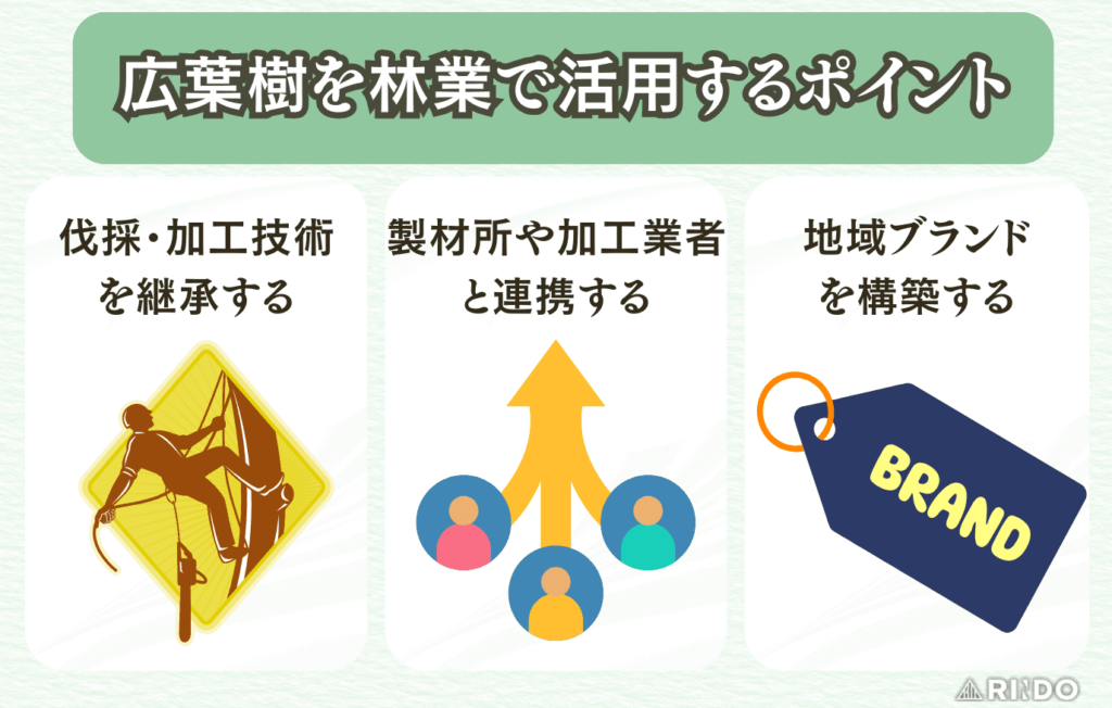 広葉樹　活用　ポイント