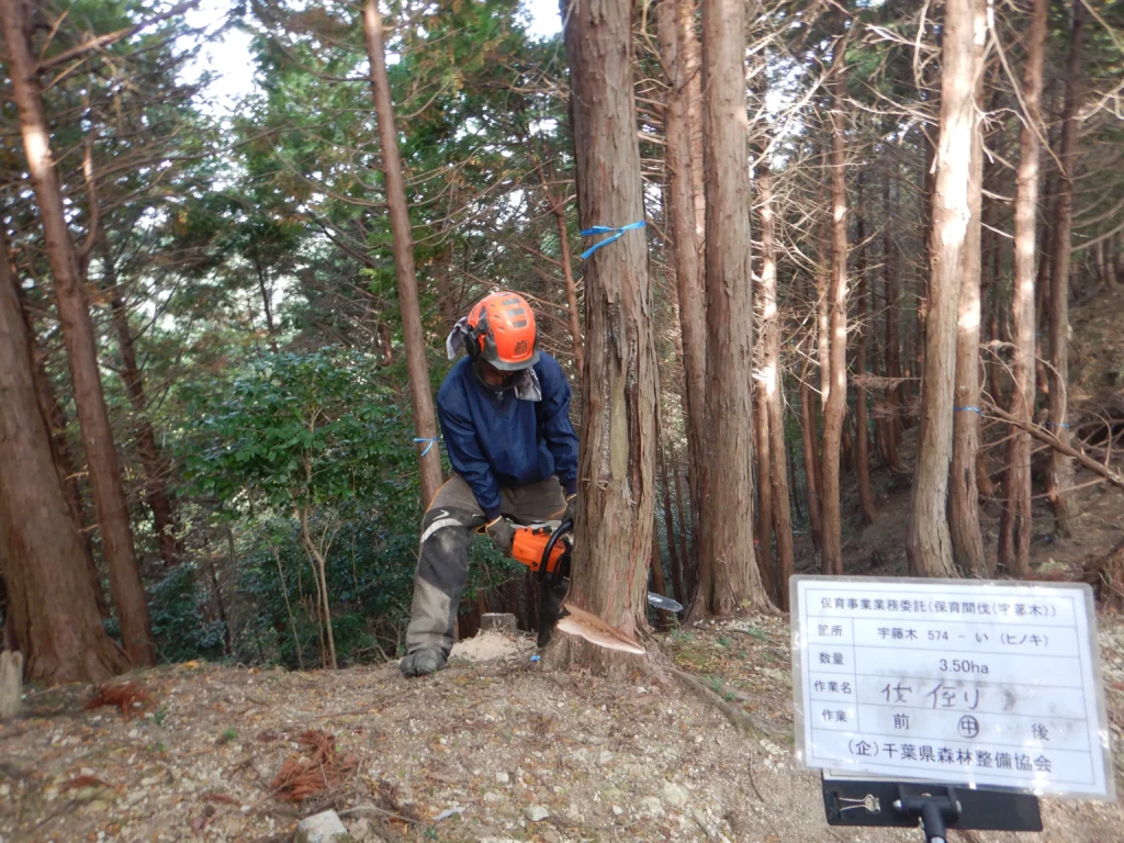 林業　求人