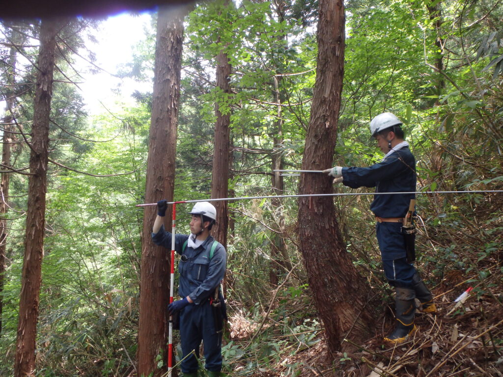 立山山麓森林組合様