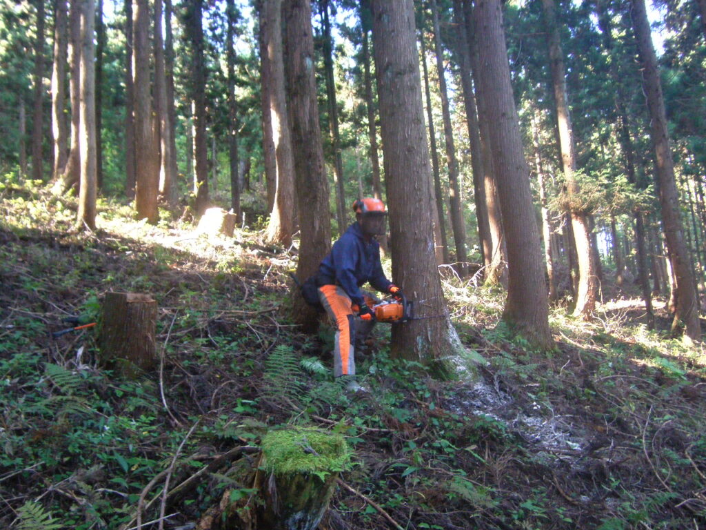 立山山麓森林組合様