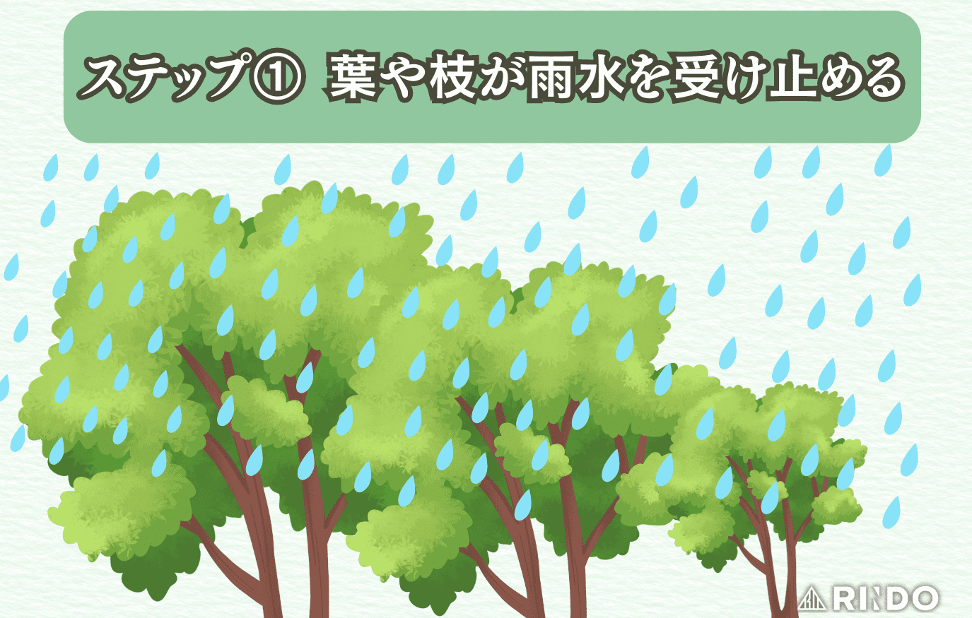 水源涵養機能 仕組み