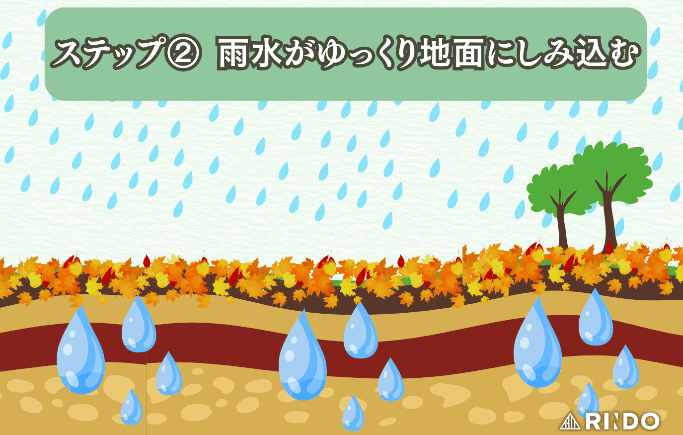 水源涵養機能 仕組み