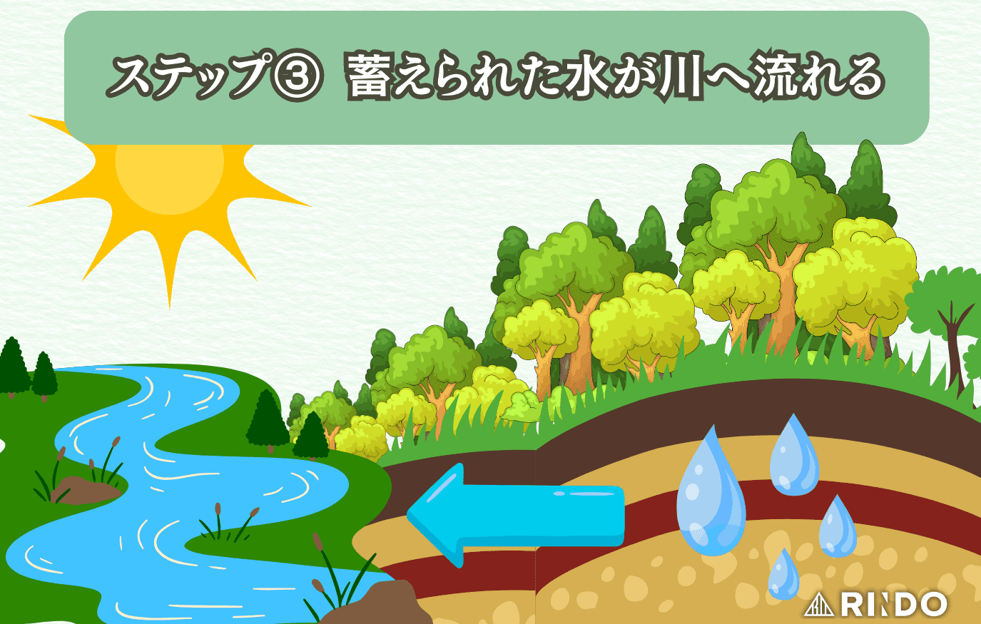水源涵養機能 仕組み