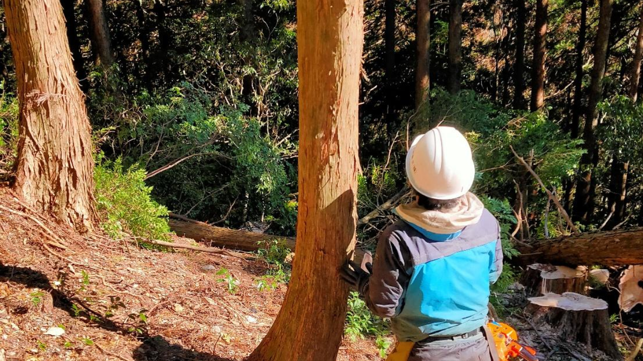 清水産業株式会社